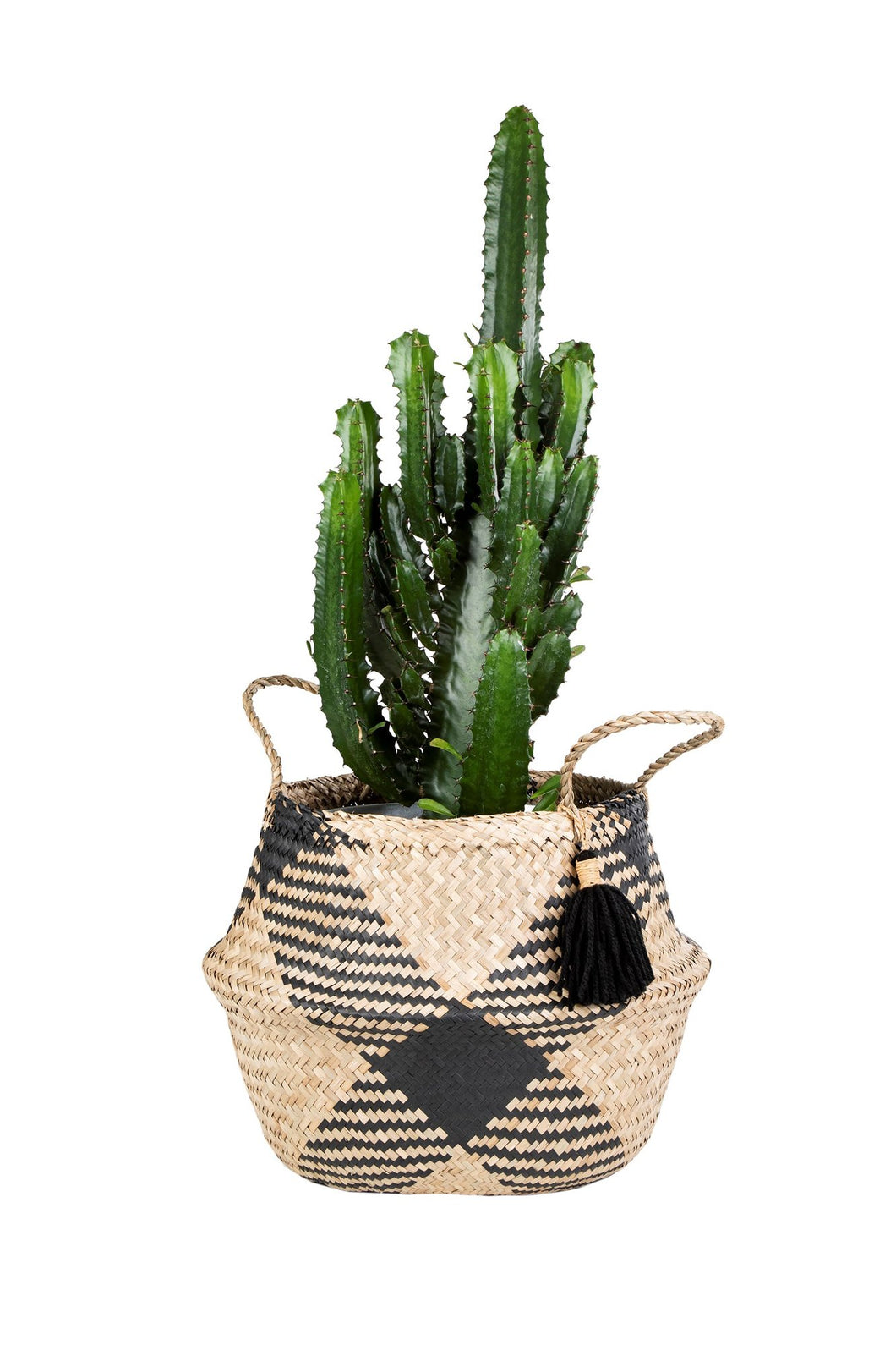 Seagrass Tribal Pattern Tassel Basket